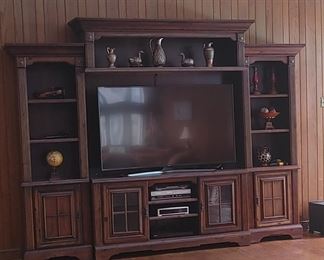 Large Entertainment Curved Smart TV