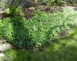 Go to Description & Details page and click on View More for prices & info