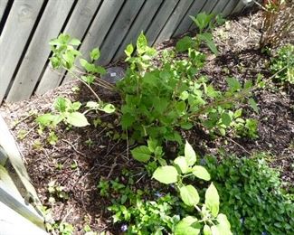 Go to Description & Details page and click on View More for prices & info