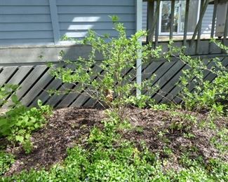 Go to Description & Details page and click on View More for prices & info