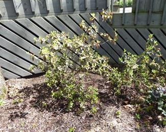 Go to Description & Details page and click on View More for prices & info