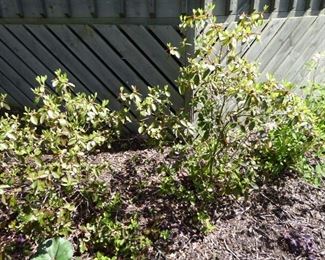 Go to Description & Details page and click on View More for prices & info