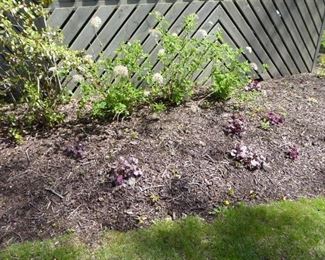 Go to Description & Details page and click on View More for prices & info