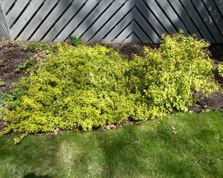 Go to Description & Details page and click on View More for prices & info