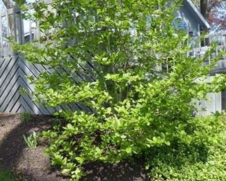 Go to Description & Details page and click on View More for prices & info