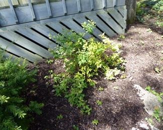 Go to Description & Details page and click on View More for prices & info