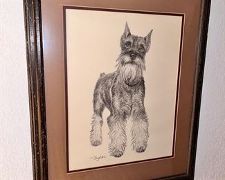 Schnauzer Pencil Drawing by Taylor Oughton