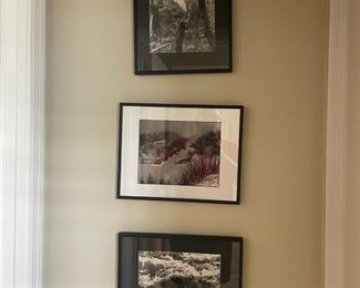 MARK BLANCHETTE B&W ART PHOTOGRAPHY IN GLASS METAL FRAMES