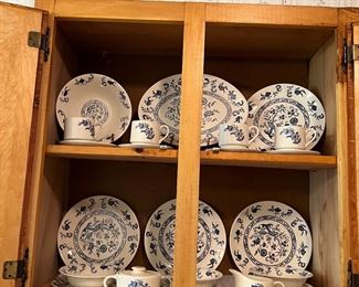 Blue Onion Dish set