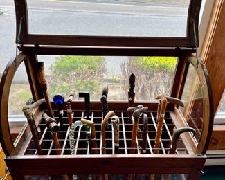 Exciting Collection of Canes & Walking Sticks