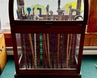 Rare Antique Oak Cane, Walking Stick Case