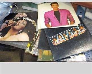 2 Dozen Vinyl Albums