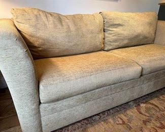 $400  Sleeper sofa- Guardian