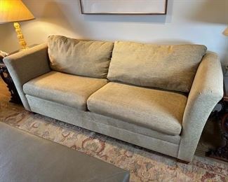 $400  Sleeper sofa- Guardian