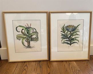 $150 Framed Botanical lithograph pair 