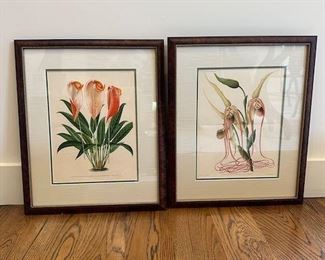 $150 Framed Botanical lithograph pair 