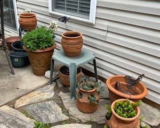 Clay pots 