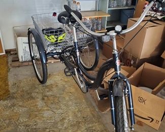 Adult Tricycle