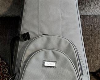 Pro Tec guitar case