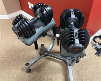 Bowflex Adjustable Dumbells with Stand