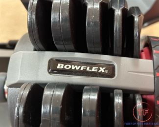 Bowflex Adjustable Dumbells with Stand