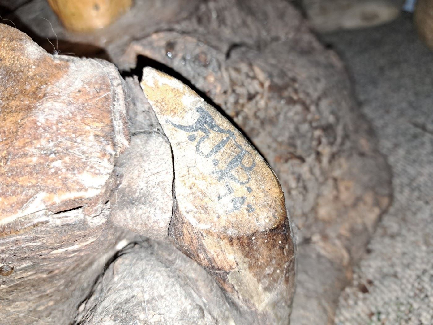 DUDLEY MURPHY ESTATE AUCTION in Springfield, MO starts on 6/9/2023