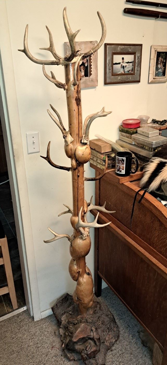 F.J. BRUCE GNARLY WHITE CEDAR & ANTLER COAT RACK