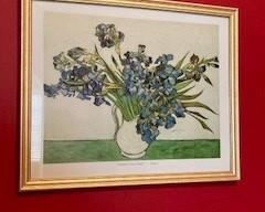 Vincent Van Gogh Framed Print - Irises