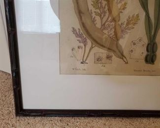 #1446 • 2 large Pictures