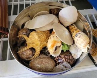 #1716 • Umbrellas, Fans, Woode Organizer & Seashells