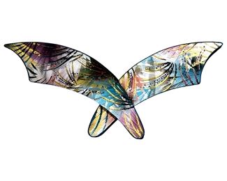 Ed Meyrowitz Carved Plexiglass Wing Art
