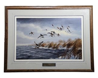 Signed David A. Maas Windy Point Bluebills Print
