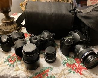Nikons, Cannons, Minolta's Vintage Kodaks - 70 years of collecting more not pictured!