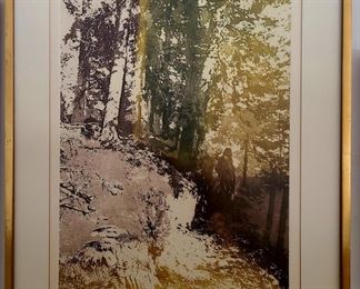 Stephen Gorus Forest Walk Signed & Numbered