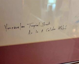 Venezuelan tropical birds