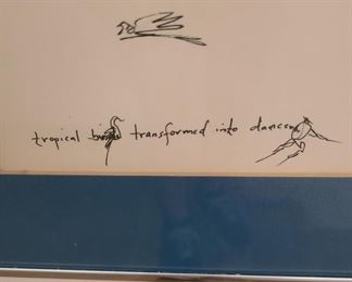 Tropical Birds Transformed