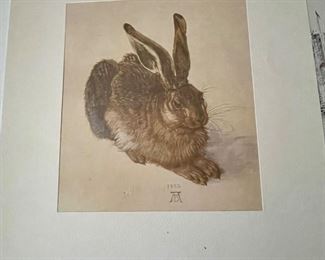 Jung Hare (also Hare or Wild Hare) based on the original watercolor by Albrecht Dürer,