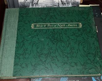Birds & Trees of North America Large Book