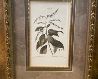 Vintage Warm Rustic Botanical Art