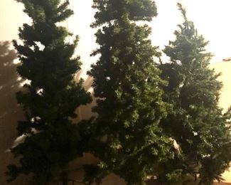 Christmas trees