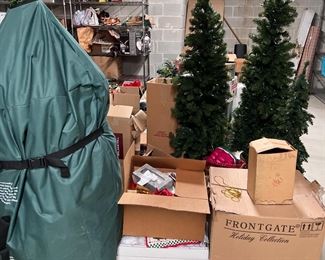 Front gate tree and others