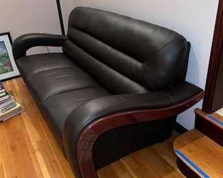 Clean leather sofa 