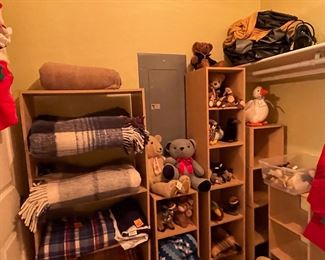 closet/craft shelvint & storage