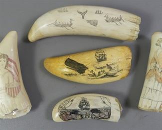 Several antique whale teeth