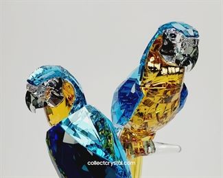 Swarovski Macaws
