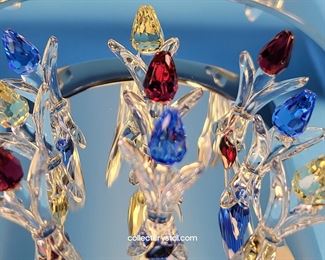 Tulips both large and small