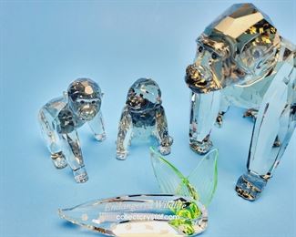 SCS Endangered Species Gorillas