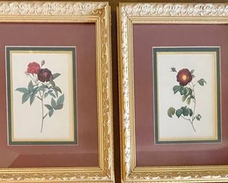 (2) Bassett Fine Art Framed Flower Prints With Ornate Gold Frames