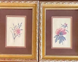 (2) 8" X 10" Botanical Prints On Ornate Gold Frames