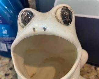 Frog Sponge Holder